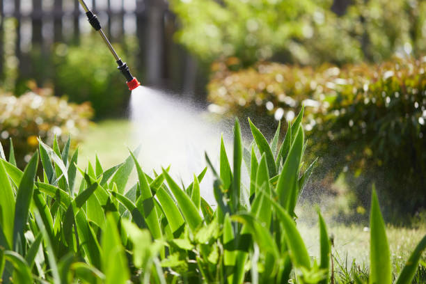 24/7 Emergency Rodent Control experts in Foothill Farms, CA