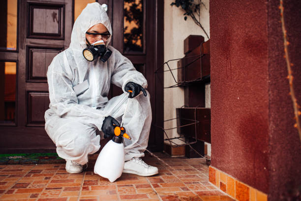 Reliable Rodent Control contractor in Foothill Farms, CA by Nex Pest Control