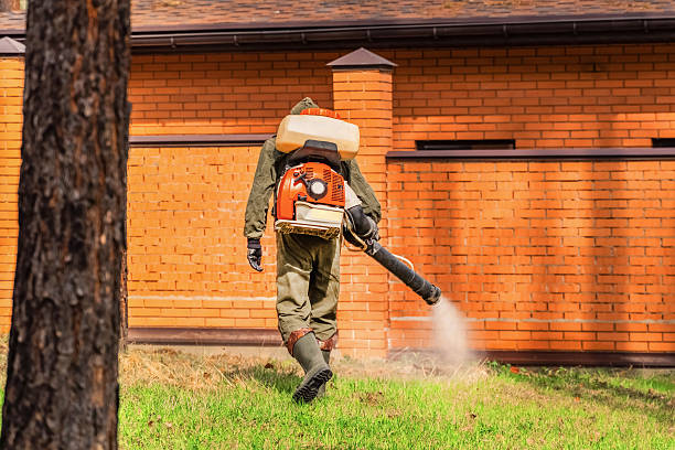 Trusted Rodent Control service in Foothill Farms, CA - Nex Pest Control